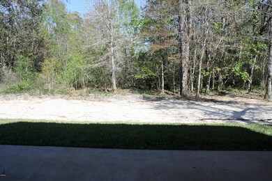 16 Back Yard