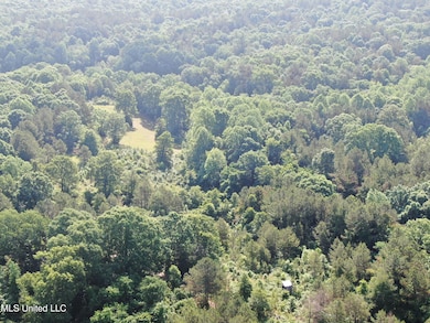 DJI_0556