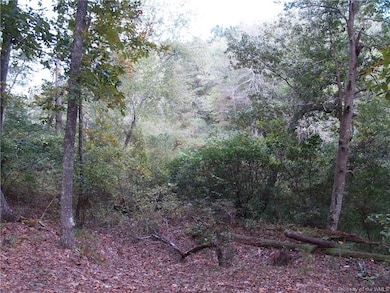 TBD Squirrel Hollow Ln, New Kent, VA 23011 - photo 3