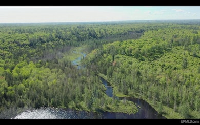 527 Usfs Rd 2130 Rd, Iron River, MI 49935 - photo 5
