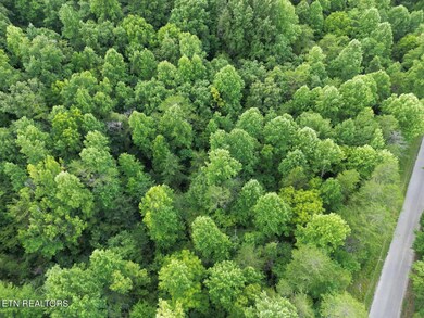 DJI_0336 (Large)