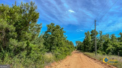 0 Montgomery Rd, Mauk, GA 31058 - photo 7