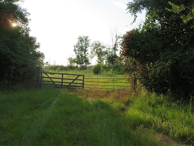 0 County Line Rd, Lumpkin, GA 31815 - photo 6