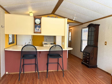 52901 Pine Cove Rd unit 37, Idyllwild, CA 92549 - photo 6