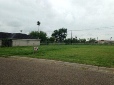 709 N Tierra Dr, Pharr, TX 78577 - photo 3