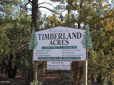 6250 Bull Elk Run unit 314, Show Low, AZ 85901 - photo 4