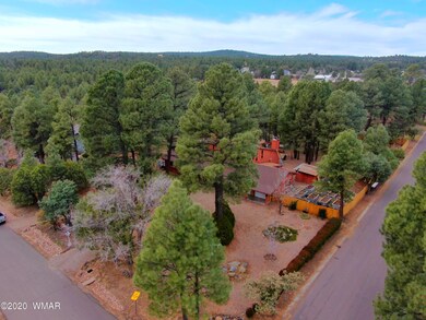 800 S 11th St, Show Low, AZ 85901 - photo 4