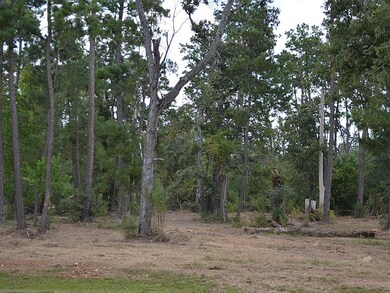 29026 Village Ridge Ct, Magnolia, TX 77355 - photo 7