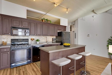 University Village Lofts unit 513, Chicago, IL 60608 - photo 6