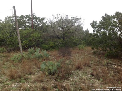 222 County Road 244, Hondo, TX 78861 - photo 4