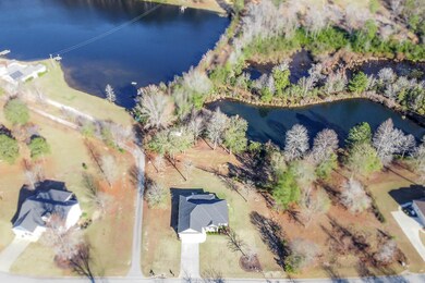 Aerial view!