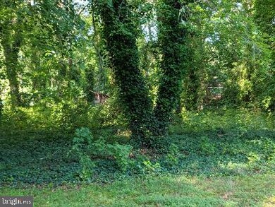 12705 Livingston Rd, Fort Washington, MD 20744 - photo 4