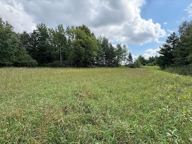 Lot 3 and 4 28 1 16th Avenue Gatehead Rd, Cedar Lake Township, WI 54817 - photo 3