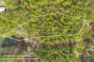 Lot 13-A Deep Water Point, Lumberton, MS 39455 - photo 6