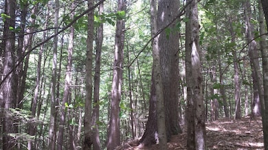 594 River Rd, Windham, ME 04062 - photo 4