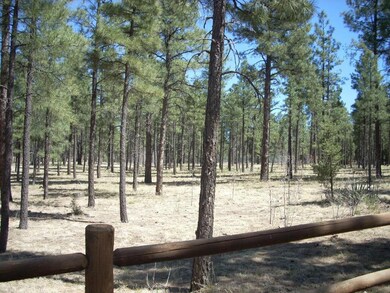 2763 Canyon Ridge Rd  (3)