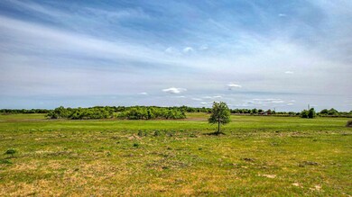 Lot 12 Pine Rd, Poolville, TX 76487 - photo 3