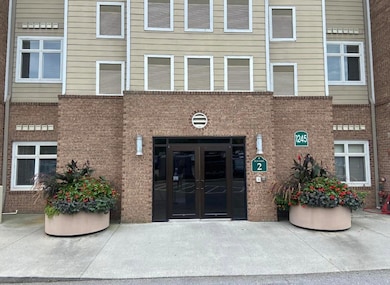 image10