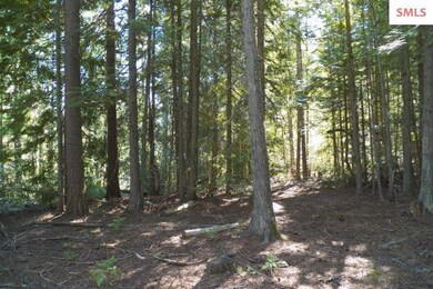 South End Of Property, If Opened Up Would Be Great
