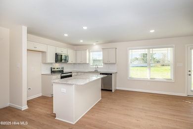 300 Tuscany Cir, Princeton, NC 27569 - photo 6