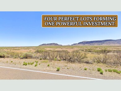 Sunshine Lun unit a New Mexico, Sunshine, NM 88030 - photo 4