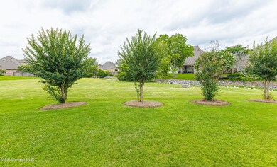 1R4A0469-Enhanced-NR