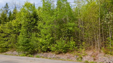 Lot 12 Grant Rd, Orono, ME 04473 - photo 3