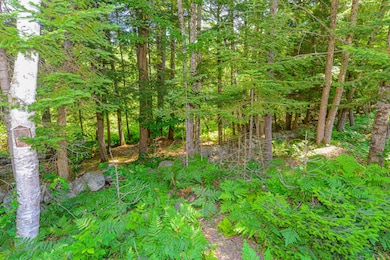 12 Reindeer Trail-61