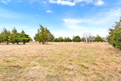 163 County Road 3326, Hubbard, TX 76648 - photo 7