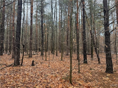 5098 Rugby Rd, Greig, NY 13312 - photo 6