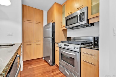 The Windsor at Forest Hills unit 2F, Forest Hills, NY 11375 - photo 6