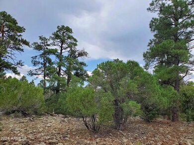 Trees