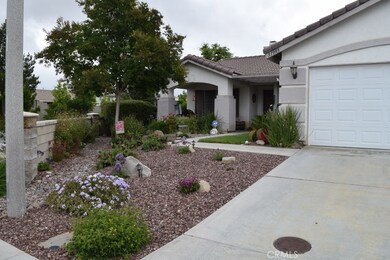 Attractive water wise landscape.