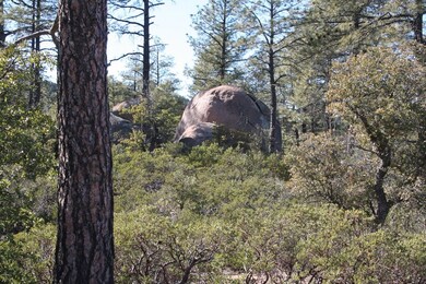 1902 E Phoenix St unit 5, Payson, AZ 85541 - photo 6