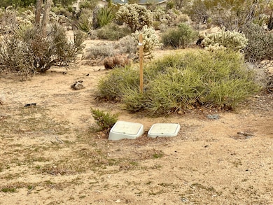 6925 Sunnyhill Rd, Joshua Tree, CA 92252 - photo 5