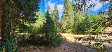 2971 13 Dips Rd, Hayfork, CA 96041 - photo 2