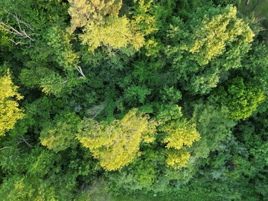 860 Stone Gate Dr, Burnside, KY 42519 - photo 2