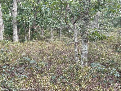 139 Vineyard Meadow Farms Rd, West Tisbury, MA 02575 - photo 7