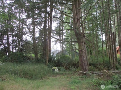 111 Olympic View Ave NE, Ocean Shores, WA 98569 - photo 3