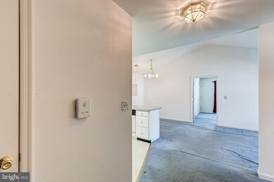 2013 Rudy Serra Dr unit 3B, Sykesville, MD 21784 - photo 3