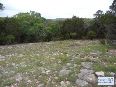 0 Rocky Ridge Loop unit 210790, Canyon Lake, TX 78133 - photo 7
