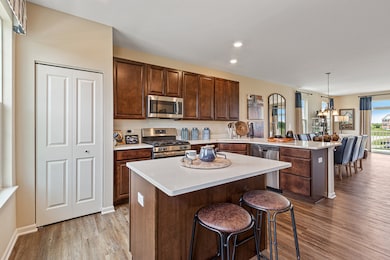 1773 Carlstedt Dr, Aurora, IL 60502 - photo 3