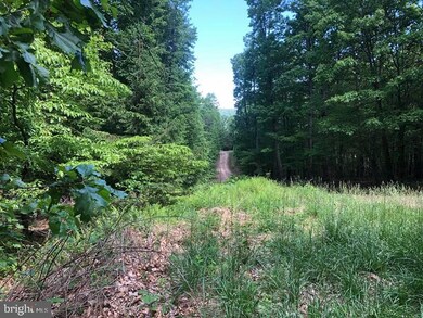 23 High Mountain View Rd, Three Chrs, WV 26757 - photo 3