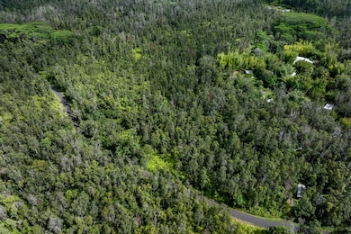 12-4235 Upper Puna Rd, Pahoa, HI 96778 - photo 7