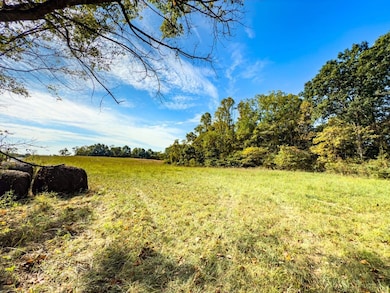 Tract 1 Perry Ridge Rd, Wilkesville, OH 45695 - photo 6