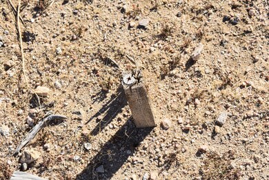 0 Whitmore Ave W O San Jose St unit 25009180, California City, CA 93505 - photo 5