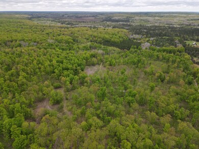 Aerial View 2
