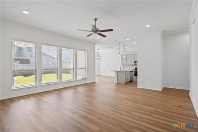 1229 Bending Branch Way, Temple, TX 76502 - photo 6