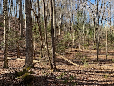 TBD Collett Woods Trail, Andrews, NC 28901 - photo 3