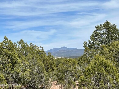 12 Lots A&c Off of Keller Place, Ash Fork, AZ 86320 - photo 7